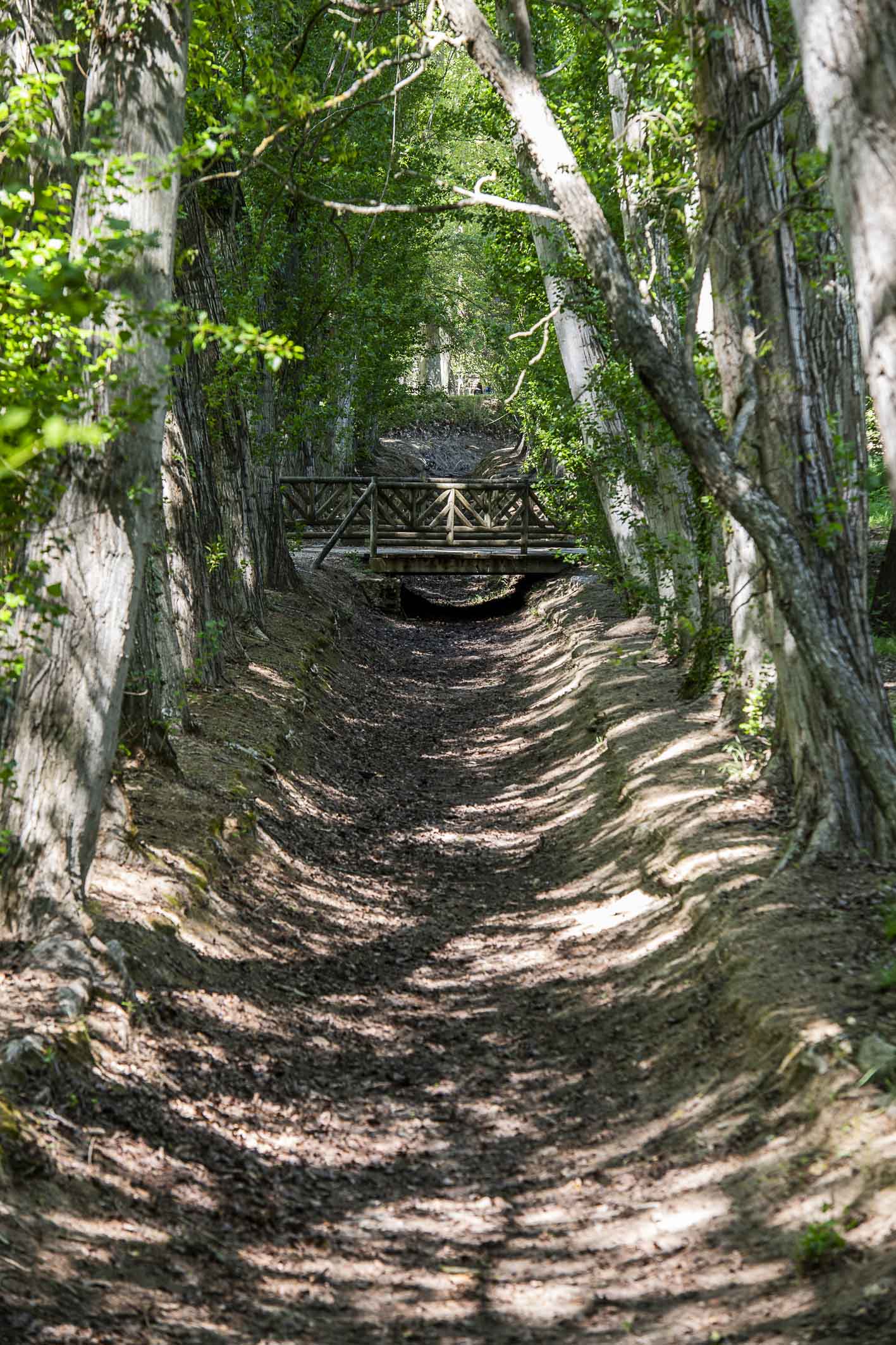 Fotografía de un sendero arbolado con un puente de madera al fondo.